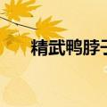 精武鸭脖子（关于精武鸭脖子的介绍）