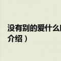 没有别的爱什么时候上映（关于没有别的爱什么时候上映的介绍）