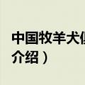 中国牧羊犬俱乐部（关于中国牧羊犬俱乐部的介绍）