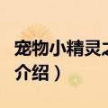 宠物小精灵之小火（关于宠物小精灵之小火的介绍）