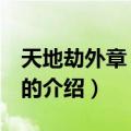 天地劫外章 寰神结（关于天地劫外章 寰神结的介绍）