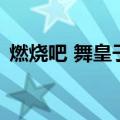 燃烧吧 舞皇子（关于燃烧吧 舞皇子的介绍）