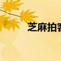 芝麻拍客（关于芝麻拍客的介绍）