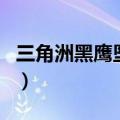 三角洲黑鹰坠落（关于三角洲黑鹰坠落的介绍）
