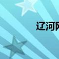 辽河网（关于辽河网的介绍）