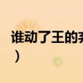 谁动了王的弃妃（关于谁动了王的弃妃的介绍）