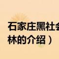 石家庄黑社会张宝林（关于石家庄黑社会张宝林的介绍）