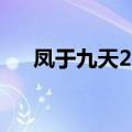 凤于九天26（关于凤于九天26的介绍）