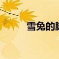 雪兔的脚（关于雪兔的脚的介绍）