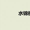 水锦树（关于水锦树的介绍）