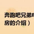 奔跑吧兄弟电影票房（关于奔跑吧兄弟电影票房的介绍）