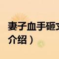 妻子血手砸丈夫车（关于妻子血手砸丈夫车的介绍）