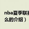 nba夏季联赛是什么（关于nba夏季联赛是什么的介绍）