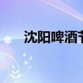 沈阳啤酒节（关于沈阳啤酒节的介绍）