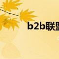 b2b联盟（关于b2b联盟的介绍）