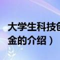 大学生科技创业基金（关于大学生科技创业基金的介绍）