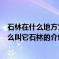 石林在什么地方为什么叫它石林（关于石林在什么地方为什么叫它石林的介绍）