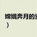 嫦娥奔月的资料（关于嫦娥奔月的资料的介绍）