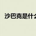 沙巴克是什么（关于沙巴克是什么的介绍）
