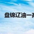 盘锦辽油一高（关于盘锦辽油一高的介绍）