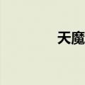 天魔6（关于天魔6的介绍）