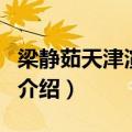 梁静茹天津演唱会（关于梁静茹天津演唱会的介绍）