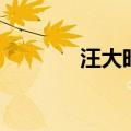 汪大昭（关于汪大昭的介绍）