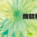 魏朝利（关于魏朝利的介绍）