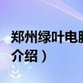 郑州绿叶电脑学校（关于郑州绿叶电脑学校的介绍）