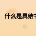 什么是具结书（关于什么是具结书的介绍）