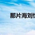 那片海刘忻（关于那片海刘忻的介绍）