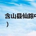 含山县仙踪中学（关于含山县仙踪中学的介绍）