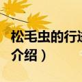 松毛虫的行进行列（关于松毛虫的行进行列的介绍）