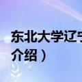 东北大学辽宁分校（关于东北大学辽宁分校的介绍）