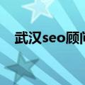 武汉seo顾问（关于武汉seo顾问的介绍）