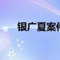 银广夏案件（关于银广夏案件的介绍）