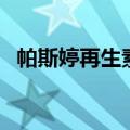 帕斯婷再生素（关于帕斯婷再生素的介绍）