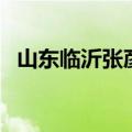 山东临沂张彦（关于山东临沂张彦的介绍）
