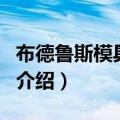 布德鲁斯模具技术（关于布德鲁斯模具技术的介绍）