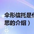 伞形信托是什么意思（关于伞形信托是什么意思的介绍）