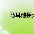 马耳他梗犬（关于马耳他梗犬的介绍）