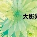 大影易（关于大影易的介绍）