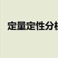 定量定性分析（关于定量定性分析的介绍）