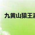 九黄山猿王洞（关于九黄山猿王洞的介绍）