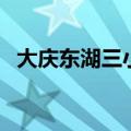 大庆东湖三小（关于大庆东湖三小的介绍）