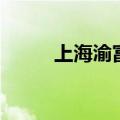 上海渝富（关于上海渝富的介绍）