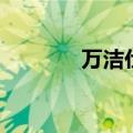 万洁仕（关于万洁仕的介绍）