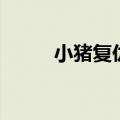 小猪复仇（关于小猪复仇的介绍）