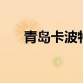 青岛卡波特（关于青岛卡波特的介绍）