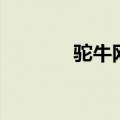 驼牛网（关于驼牛网的介绍）